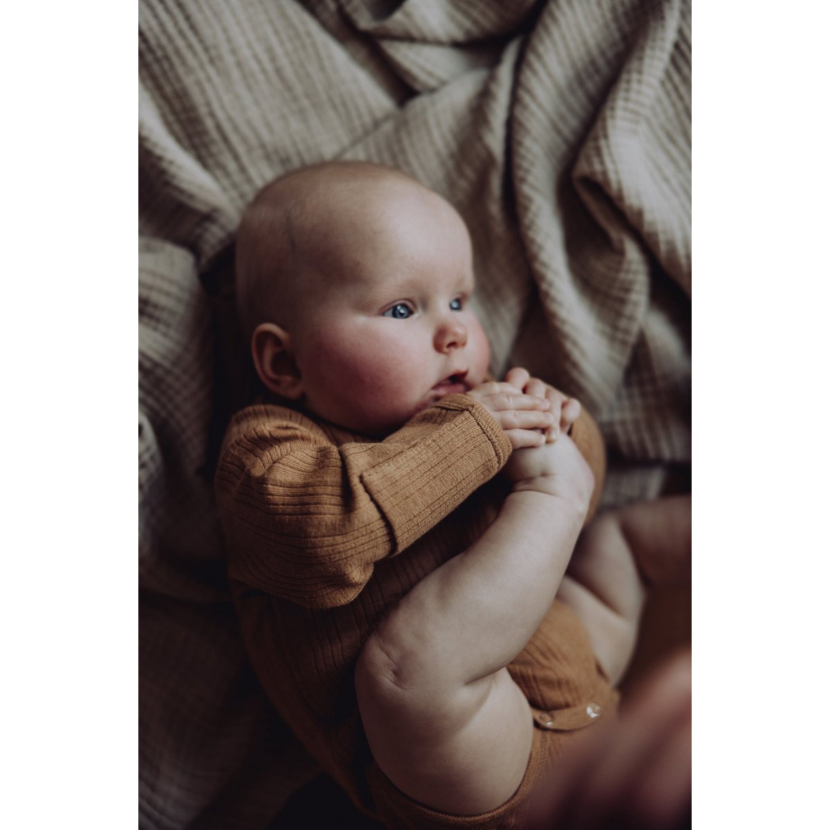 L/S bodysuit van wollen ribstof - Fawn