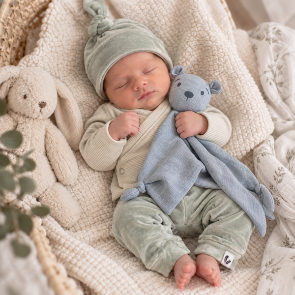 Robin teddy knuffeldoekje van bamboe