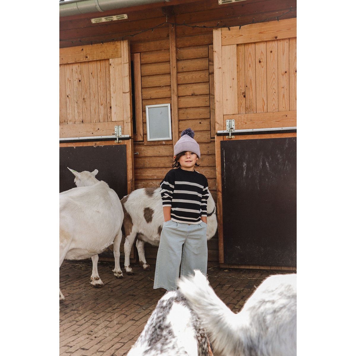 Riley gestreepte trui (unisex) 